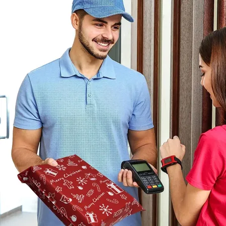 Christmas Poly Mailers